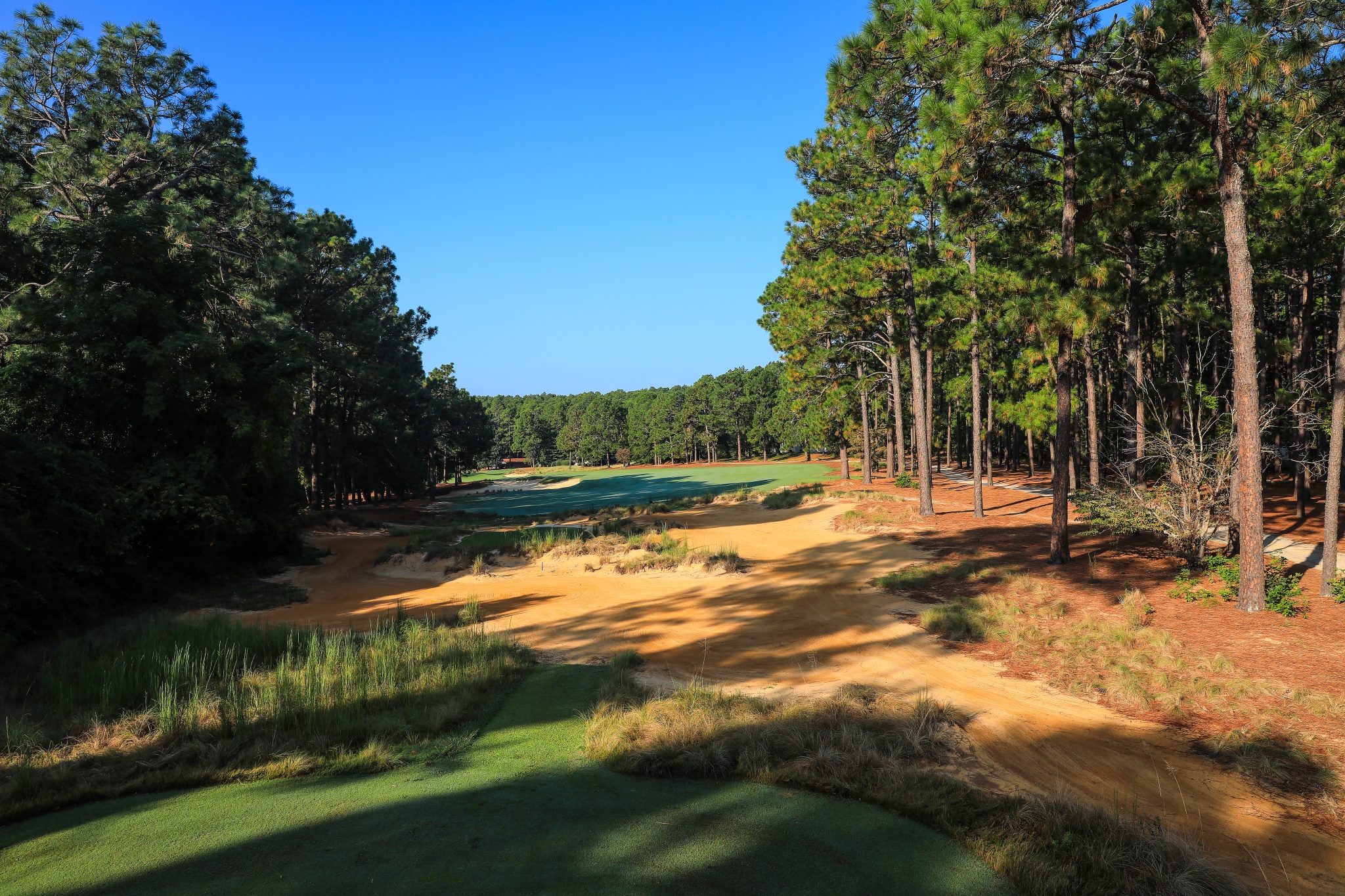 Pine Needles Golf Vacation Packages & Trips